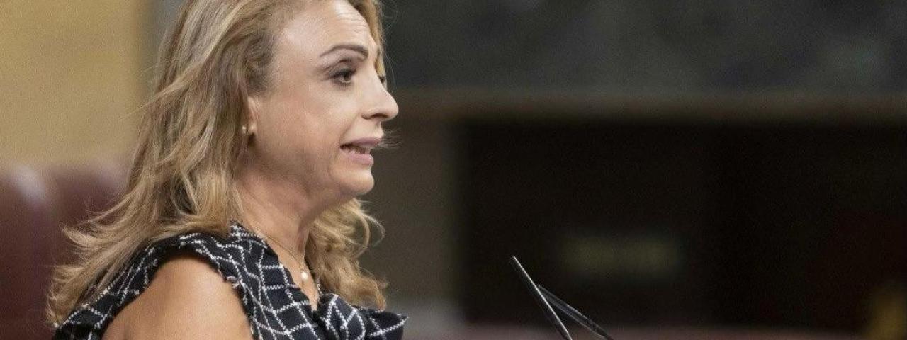Valido reclama el apoyo del Congreso para que "no se produzca ni una privatizaci&oacute;n m&aacute;s en las torres de control en Canarias
