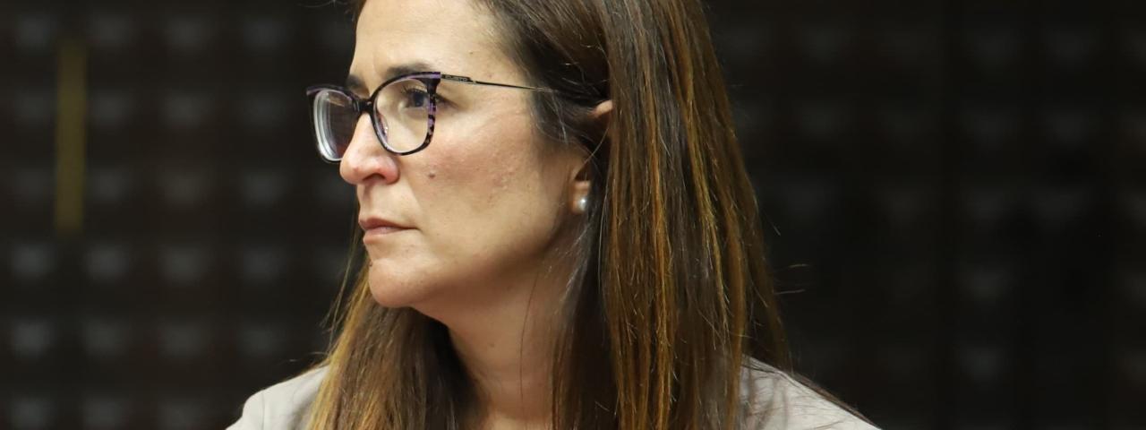 Santana defiende un impuesto sobre las estancias tur&iacute;sticas que except&uacute;e a los residentes canarios