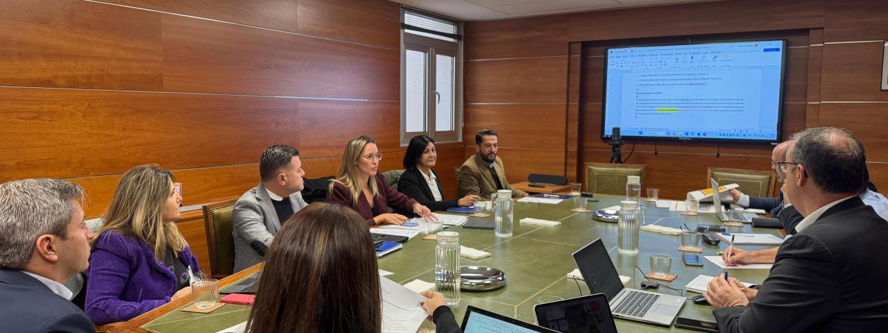 Canarias propone al Estado la firma de un convenio plurianual para la financiaci&oacute;n de los trenes