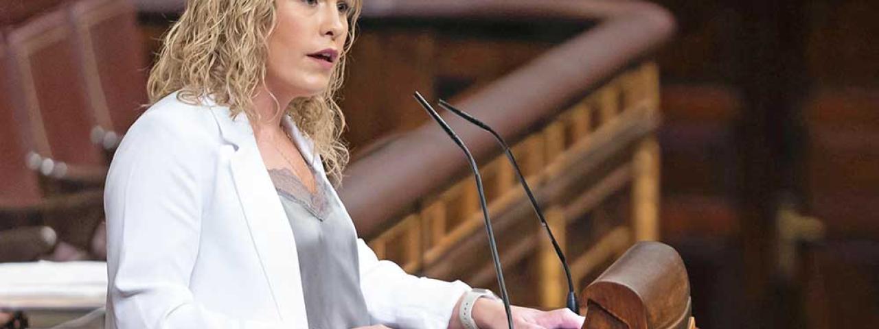 Torres elude responder al PP en el Congreso sobre su relaci&oacute;n con Aldama y el cobro de comisiones