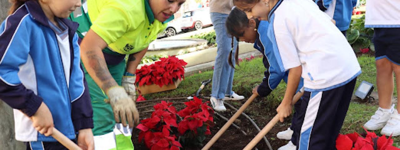 Ni&ntilde;os del colegio de La Milagrosa participan con los jardineros municipales en la plantaci&oacute;n de las flores de pascua