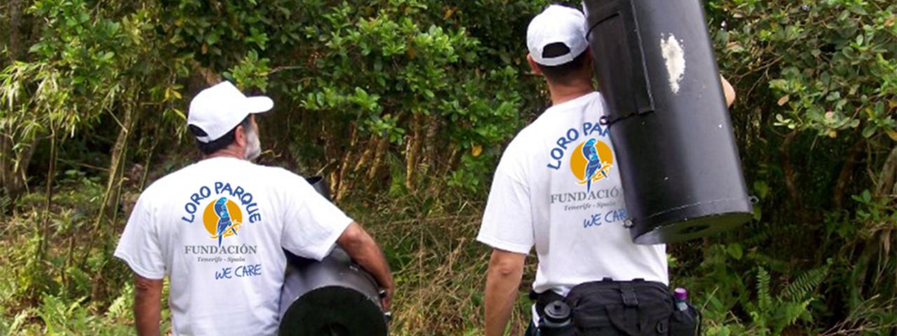 Loro Parque Fundaci&oacute;n invertir&aacute; 1.745.000 d&oacute;lares en programas de protecci&oacute;n de la naturaleza en 2025