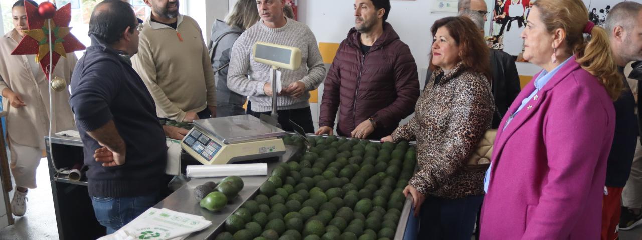 Adjudicado el proyecto de reforma de la instalaci&oacute;n el&eacute;ctrica del Mercadillo del Agricultor de Tacoronte