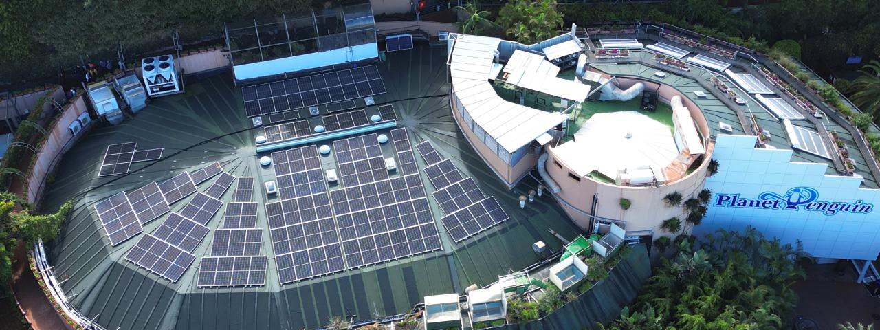 LORO PARQUE Y SIAM PARK CELEBRAN LA OBTENCI&Oacute;N DE LA CERTIFICACI&Oacute;N BIOSPHERE SUSTAINABLE