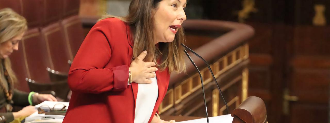 Alicia &Aacute;lvarez denuncia que el rechazo del PP al decreto del Gobierno es un "aut&eacute;ntico destrozo a Canarias "con apoyo de Fernando Clavijo y CC
