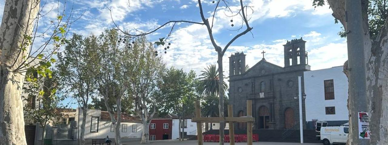 Tacoronte se convierte en el primer municipio canario con inventario de &aacute;rboles a disposici&oacute;n de la ciudadan&iacute;a