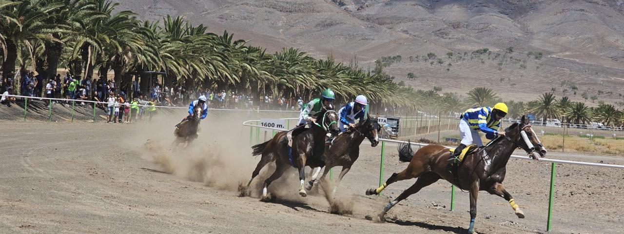 A galope en la carrera de caballos este s&aacute;bado en la pista de Pozo Negro
