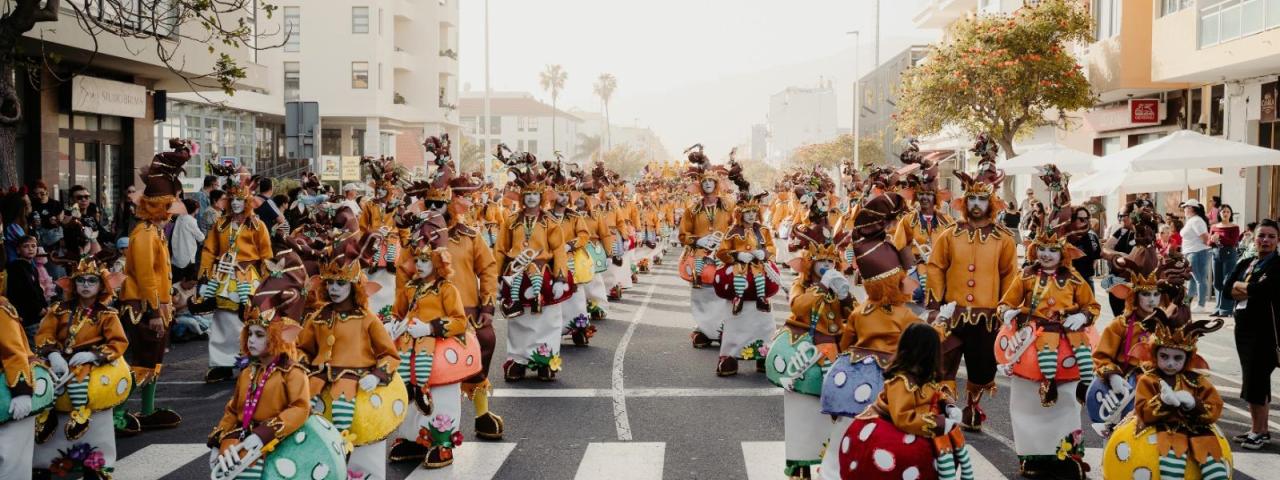 Los Llanos de Aridane recicla m&aacute;s de 2.200 kilos de envases ligeros en Carnaval, equivalente al peso de un coche