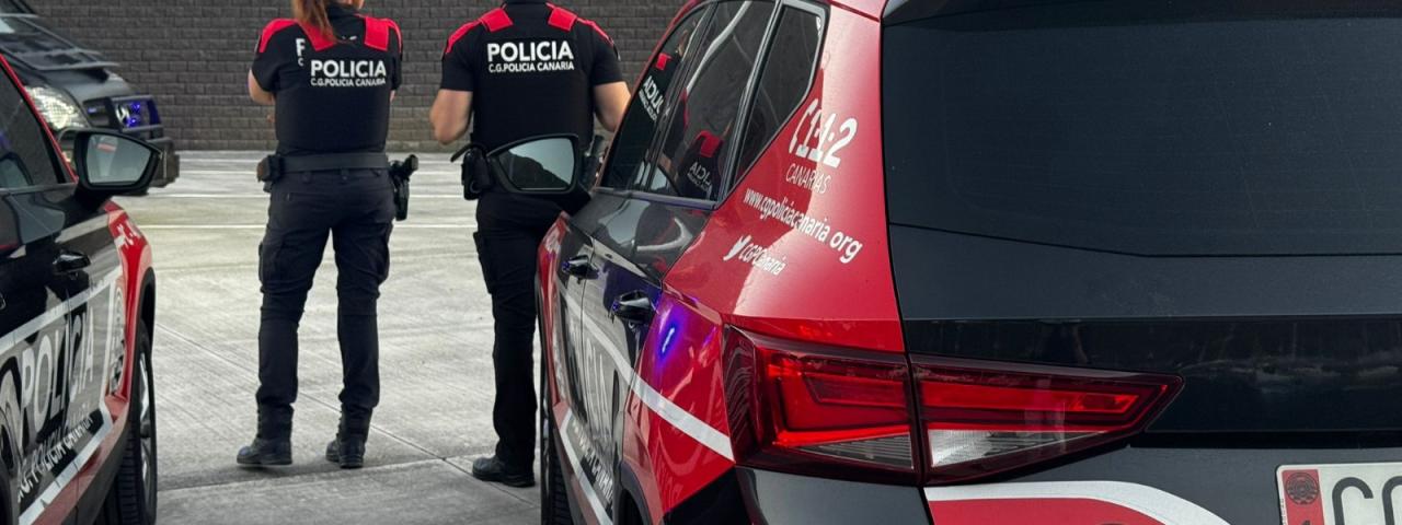 La Polic&iacute;a Auton&oacute;mica detiene a un var&oacute;n en el sur de Tenerife con 183 gramos de hach&iacute;s