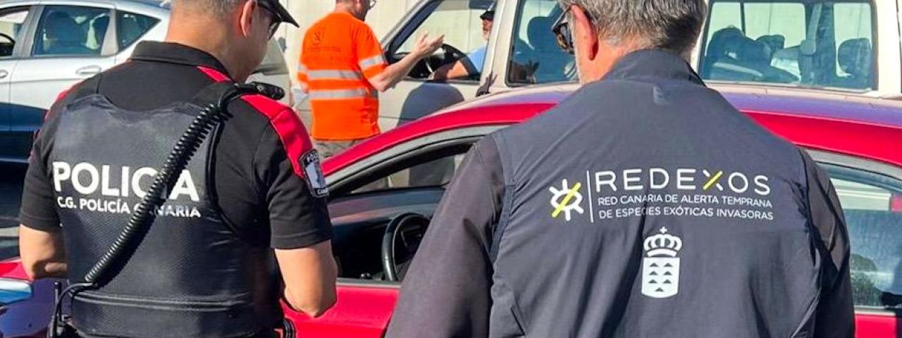 La Polic&iacute;a Auton&oacute;mica colabora para frenar la expansi&oacute;n de la culebra real de California en Gran Canaria