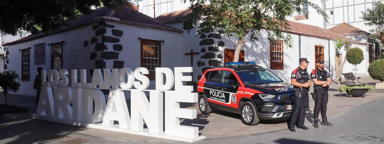 La Polic&iacute;a Auton&oacute;mica detiene en La Palma a un var&oacute;n buscado por la Justicia por violencia de g&eacute;nero