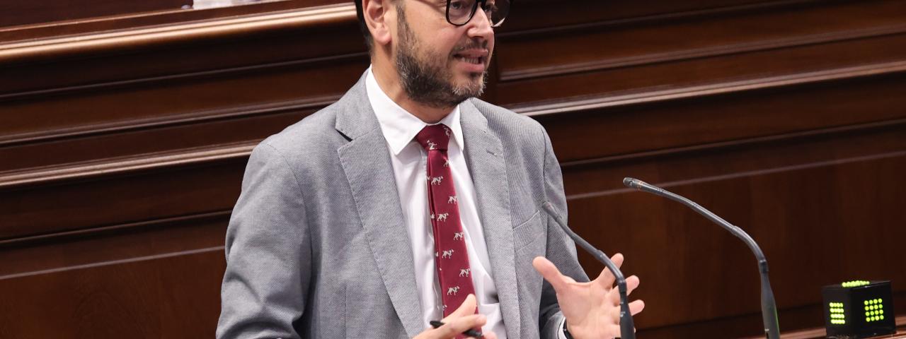 El PP logra que pacientes ingresados en hospitales puedan recibir la visita de sus mascotas con el &uacute;nico voto en contra de Vox