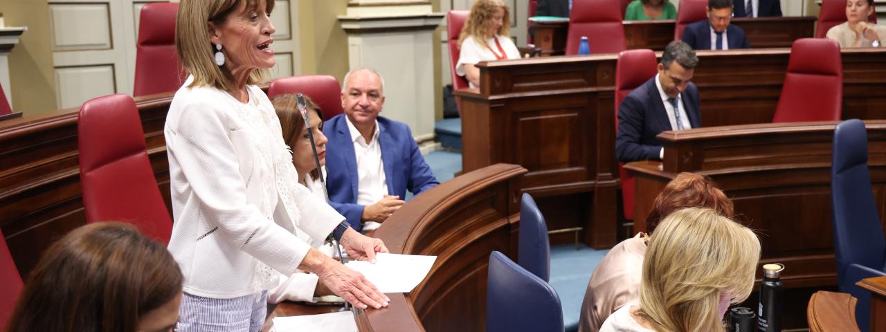 Esther Gonz&aacute;lez: "M&aacute;s de 1.000 millones dejar&aacute;n de destinarse a resolver los problemas de la ciudadan&iacute;a