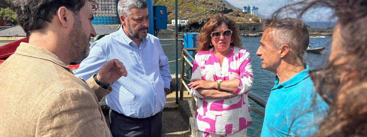 Gobierno de Canarias y Ayuntamiento consens&uacute;an mejoras para el entorno pesquero de El Pris
