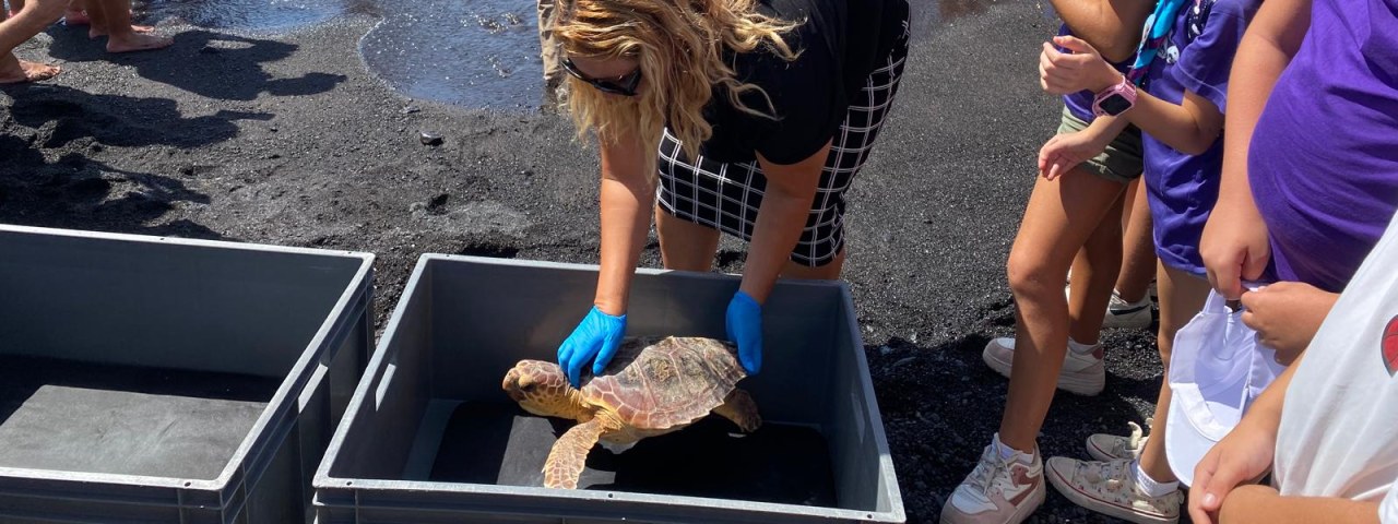 Candelaria promueve el voluntariado ambiental y la protección de las especies marinas