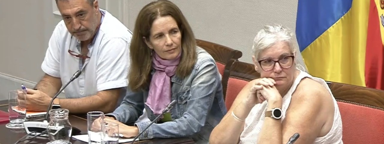 El pasado 30 de septiembre representantes de los trabajadores del Hospital Insular de Lanzarote participaron en la Comisión de Sanidad del Parlamento de Canarias